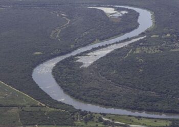 Mapbiomas hlásí 32,4% snížení odlesňování - Mercopress