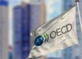 OECD poskytuje významný růst v Argentině ve srovnání s jinými zeměmi G20 - Mercopress