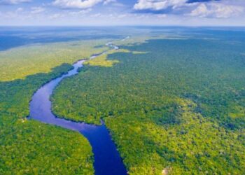 Brazilští a francouzští vědci se zabývají změnou klimatu v Amazonu - Mercopress