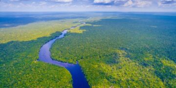 Brazilští a francouzští vědci se zabývají změnou klimatu v Amazonu - Mercopress