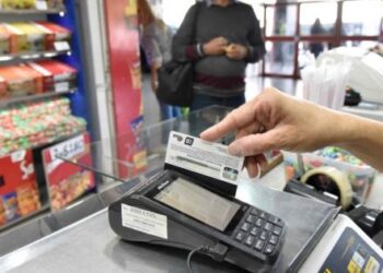 Mileiho Argentina je podporována zadlužeností lidí - Mercopress