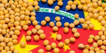 Čínské sójové zásilky nahrazují nákupy z Pekingu do USA - Mercopress