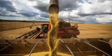 Časové snížení vývozních tarifů Argentiny třese CBOT - Mercopress