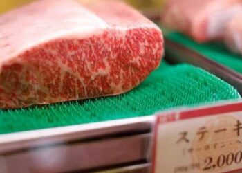 Japonsko blíže povolení dovozu brazilského hovězího masa