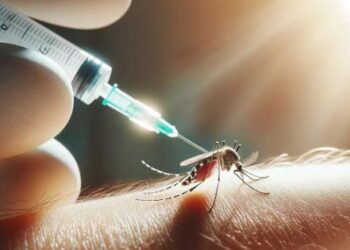 Brazílie schválila lokálně vyráběnou vakcínu proti horečce dengue