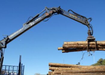 Novozélandský lesnícky gigant pristupuje k programu uruguajských výhod