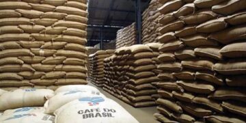 Vývoz brazilské kávy klesl v prvním čtvrtletí o 21 % navzdory očekávání rekordní sklizně 51 Vývoz brazilské kávy klesl v prvním čtvrtletí o 21 % navzdory očekávání rekordní sklizně