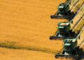 Uruguaj získava 63 % ročnej kvóty Mercosuru na ryžu Európskej únii 66 Uruguaj získava 63 % ročnej kvóty Mercosuru na ryžu Európskej únii