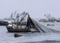 Zpráva varuje, že zahraniční flotily u Argentiny loví až čtyřnásobek národního úlovku 66 Zpráva varuje, že zahraniční flotily u Argentiny loví až čtyřnásobek národního úlovku