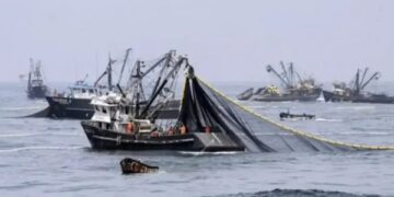 Zpráva varuje, že zahraniční flotily u Argentiny loví až čtyřnásobek národního úlovku 1 Zpráva varuje, že zahraniční flotily u Argentiny loví až čtyřnásobek národního úlovku