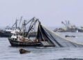 Argentina dodržuje smlouvu FAO proti nezákonnému rybolovu a posiluje kontrolu v jižním Atlantiku 66 Argentina dodržuje smlouvu FAO proti nezákonnému rybolovu a posiluje kontrolu v jižním Atlantiku