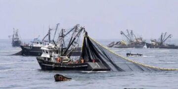 Argentina dodržuje smlouvu FAO proti nezákonnému rybolovu a posiluje kontrolu v jižním Atlantiku 1 Argentina dodržuje smlouvu FAO proti nezákonnému rybolovu a posiluje kontrolu v jižním Atlantiku