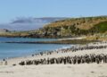 SAERI spúšťa nové výskumné projekty na Falklandoch a v južnom Atlantiku 66 SAERI spúšťa nové výskumné projekty na Falklandoch a v južnom Atlantiku