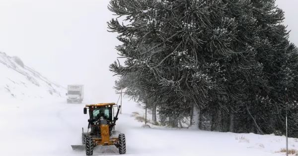Polární vlna v Argentině ustupuje, zatímco Patagonie čelí dešti, sněhu a nárazům o rychlosti 90 km/h 65 Polární vlna v Argentině ustupuje, zatímco Patagonie čelí dešti, sněhu a nárazům o rychlosti 90 km/h